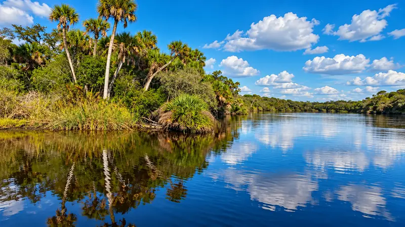 Broad stretch of still Myakka River reflecting trees and blue sky